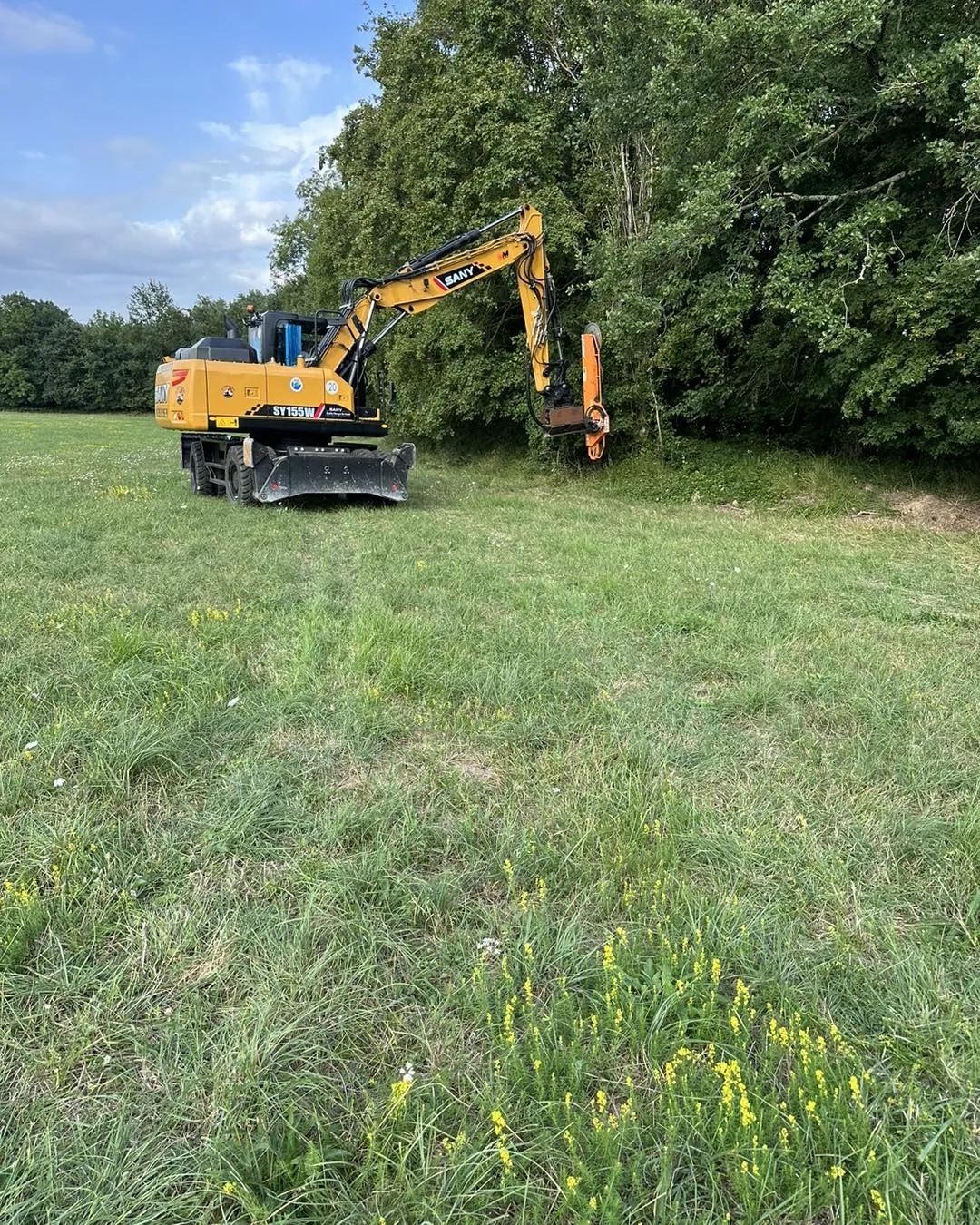 Machine à lamier en action coupant des branches d'arbres en lisière de forêt.