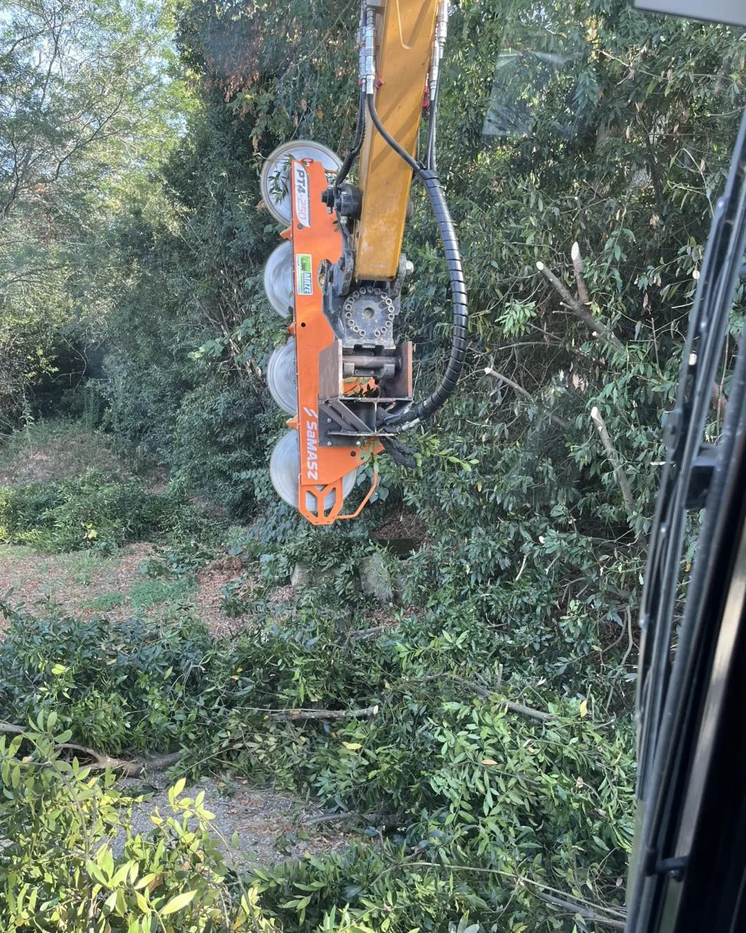 Vue rapprochée des lames d'un lamier utilisé pour l'élagage des arbres. ​​