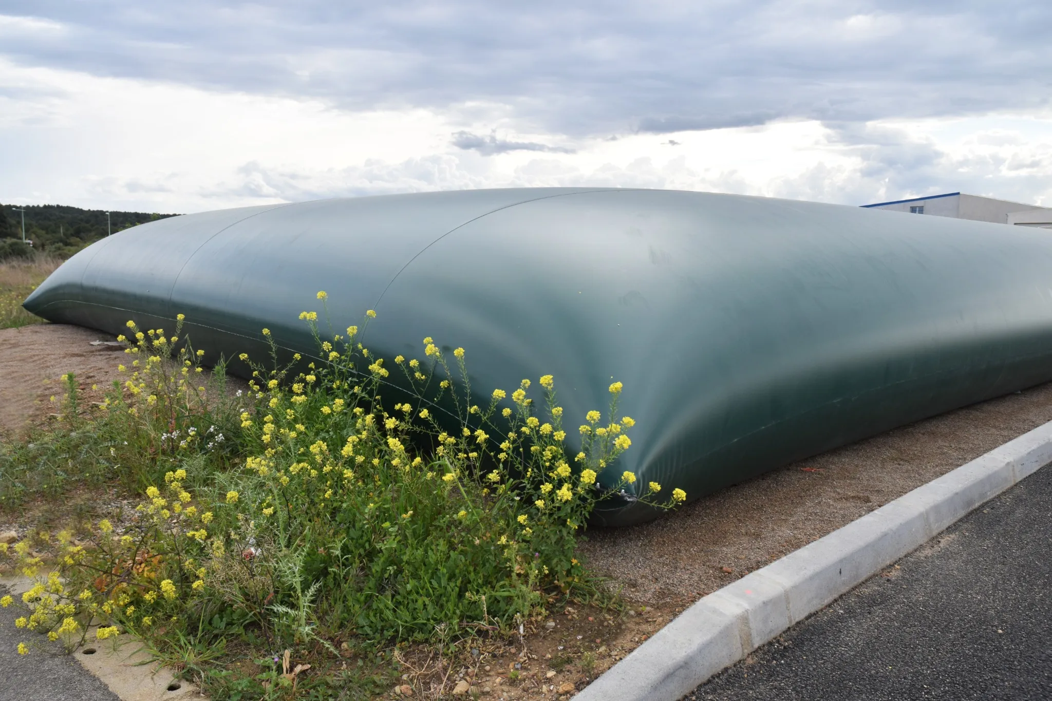 Réserve incendie gonflable verte entourée de végétation et située sur un terrain extérieur.